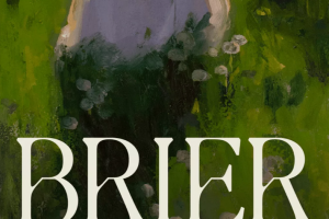 免费试用的一款经典小清新字体：Brier-Trial字体