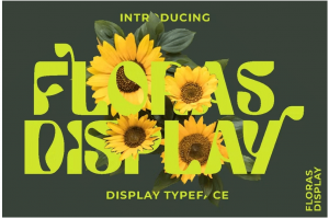 60年代复古逆反差海报专辑封面标题设计装饰英文字体 Floras Display – Display
