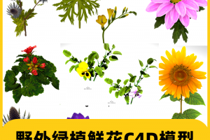 40组野外绿植植物向日葵红掌帝王花卉花草鲜花C4D模型素材