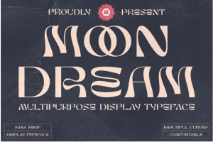 现代优雅酸性逆反差杂志海报排版标题logo设计衬线英文字体包 Moon Dream Display