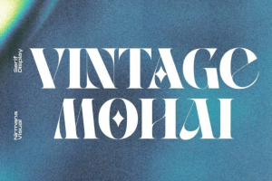 70年代复古迷幻品牌推广杂志海报标题设计粗体英文字体包 Vintage Mohai – Retro