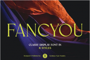 优雅奢华复古杂志海报标题排版徽标名片logo设计衬线英文字体安装包 Fancyou Font