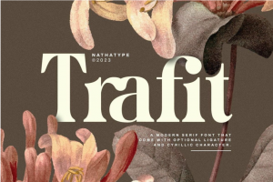 现代优雅奢华杂志海报标题排版logo设计粗体衬线英文字体包 Trafit Font