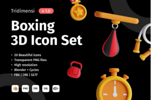 20个时尚体育运动拳击赛事3D图标Icons设计素材合集