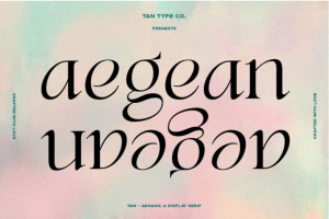 复古优雅俏皮女性化杂志海报标题Logo徽标设计衬线英文字体安装包 TAN Aegean Font