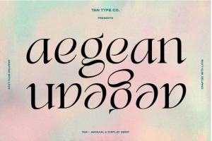 复古优雅俏皮女性化杂志海报标题Logo徽标设计衬线英文字体安装包 TAN Aegean Font