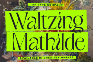 复古俏皮怪诞酸性杂志标题Logo徽标设计PSAI衬线英文字体安装包 TAN – WALTZING M