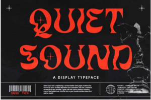 复古酸性逆反差杂志专辑封面海报标题设计装饰英文字体安装包 Quiet Sounds Font