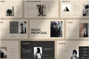 极简企业介绍品牌策划提案图文排版PPT幻灯片模板素材