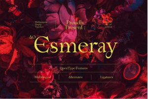 现代优雅杂志海报品牌标题Logo设计衬线英文字体素材 AO Esmeray – Display Ty