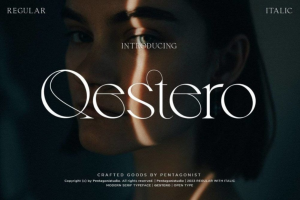 现代时尚优雅女性化品牌推广海报标题设计Logo英文字体素材包 Qestero _ Exotic Di