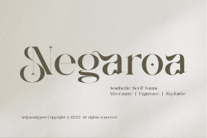 潮流复古酸性逆反差杂志标题徽标Logo设计英文字体安装包 Negaroa – Aesthetic S