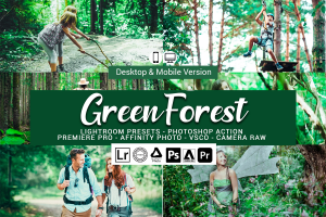 20款绿色森林森系梦幻色彩人像摄影后期调色Lightroom预设