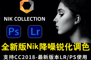 新款PS插件以及LR插件Nik Collection 6.2合集，支持win和mac系统