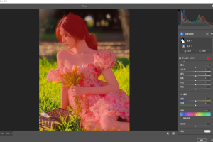 ps,ae,br必备插件之一，Camera Raw 16.0 增效工具，支持2017-2024版本