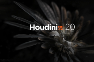 SideFX Houdini 20.0.547渲染  win系统安装包