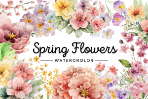水彩花卉花朵手绘植物花束插画元素拼贴PNG免扣图片设计素材