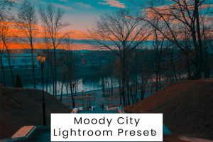 穆迪城市风景风光街拍摄影后期调色Lightroom预设