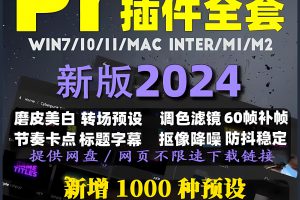 2024 Adobe pr插件全套中文一键安装包转场效果字幕磨皮调色预设素材模板合集，包含教程  1275期