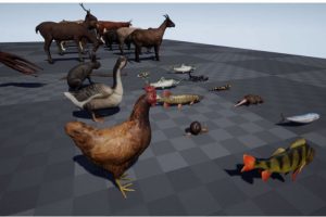 UE素材 虚拟引擎家禽动物3D模型素材包