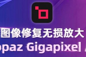 Ai人工智能图片无损放大修复模糊变清晰Topaz Gigapixel AI 7.2.3版本  1300期