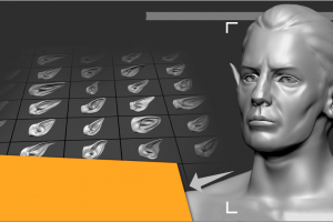 ZBrush人类精灵兽人耳朵IMM笔刷人类耳朵精灵耳朵长耳雕刻zb笔刷