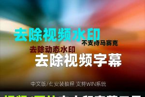 视频去字幕软件图片去水印工具VSR硬字幕无痕去除动态 WIN版2026~1557期