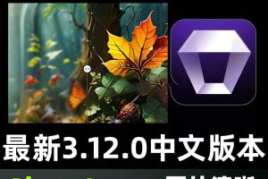 告别模糊与噪点！Aiarty Image Enhancer v3.12，让你的每一张照片都清晰到惊艳，支持WIN以及MAC~1561期